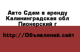 Авто Сдам в аренду. Калининградская обл.,Пионерский г.